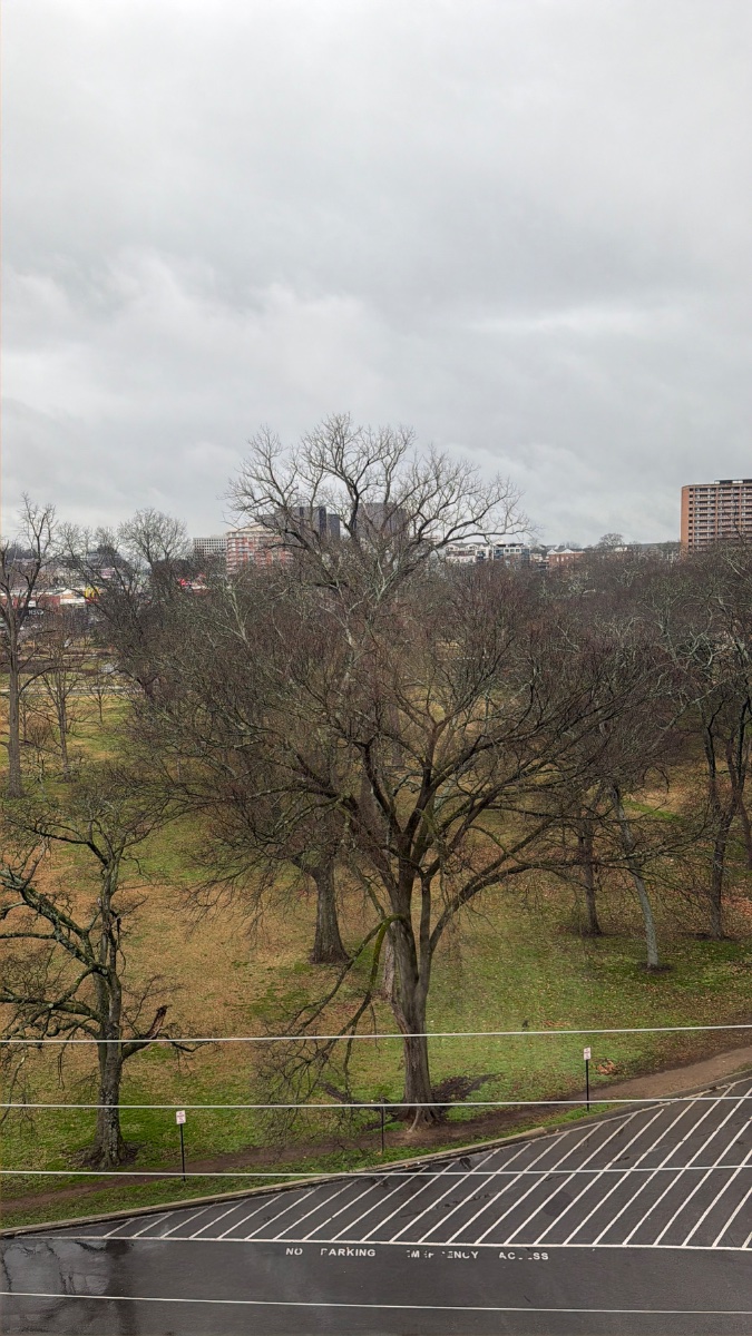 Julia Rogers's therapy office at Therapy Space Midtown, Nashville